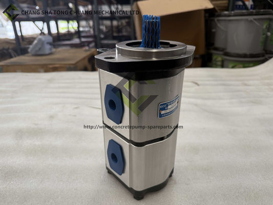 satın al Sany Ağır Endüstri Beton Pompa Fittings Double Gear Pump B220301000413 online manufacture
